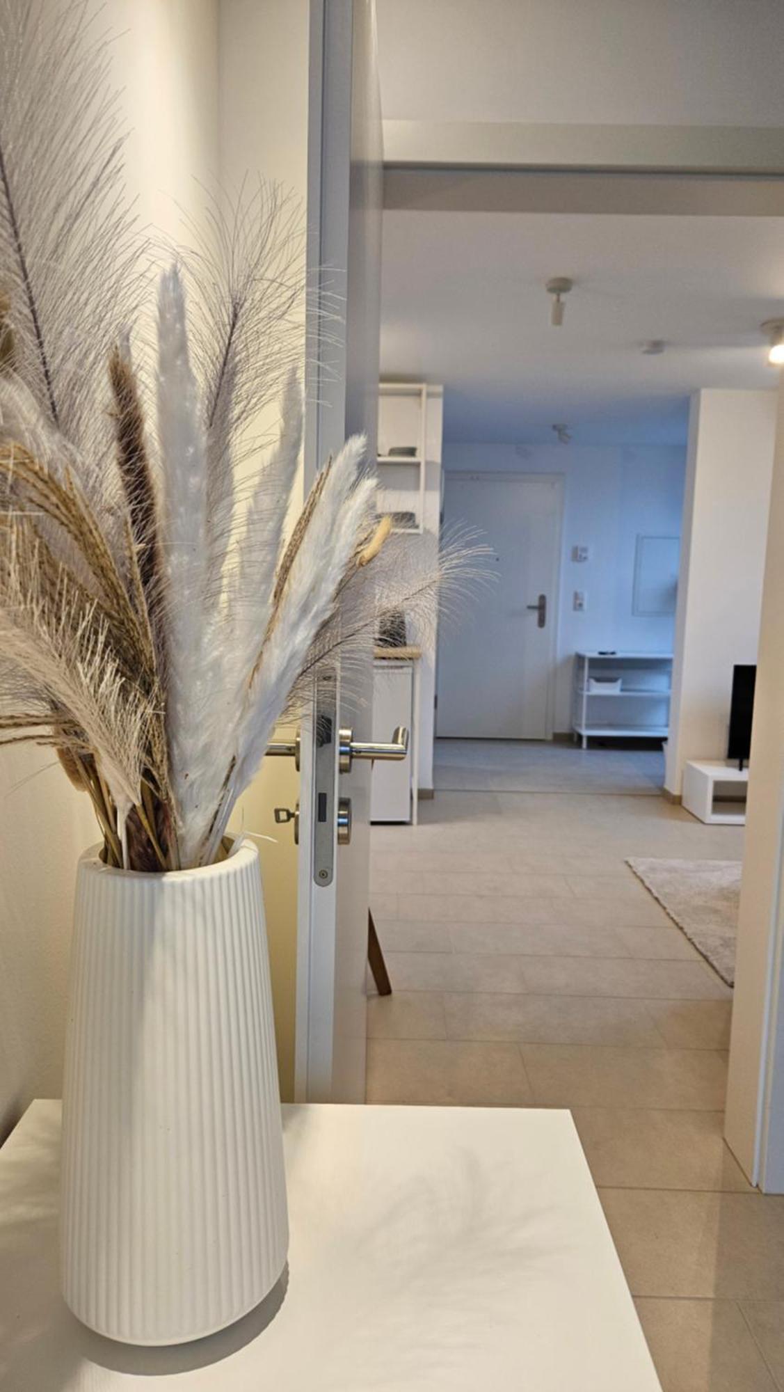 Ferienwohnung As 5 One & Two Bamberg - Modern In Ruhiger Lager Mit Balkon هلشتات المظهر الخارجي الصورة